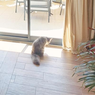 construction-maison-royan-meshers